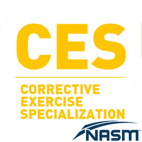 NASM CES